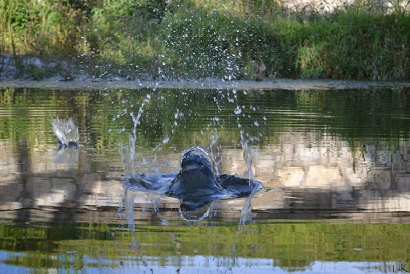 La forza dell'acqua