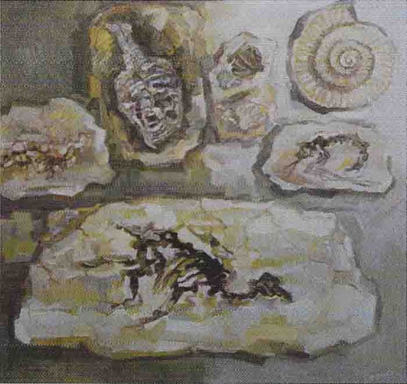 Fossili di Govoni Roberto