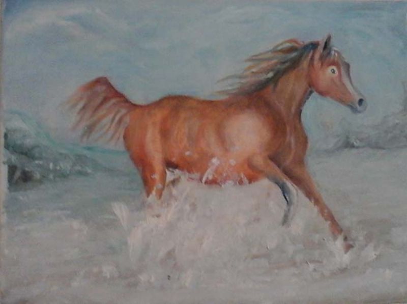 Cavallo nella neve di De Angelis Sandro