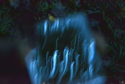 Riflessi - spirito irrequieto