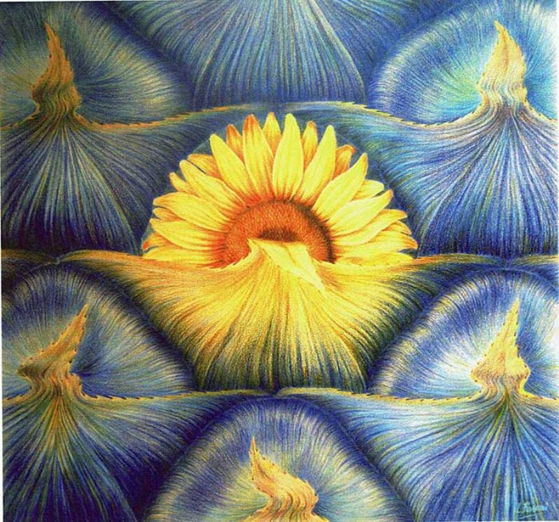 Il sorgere del Girasole