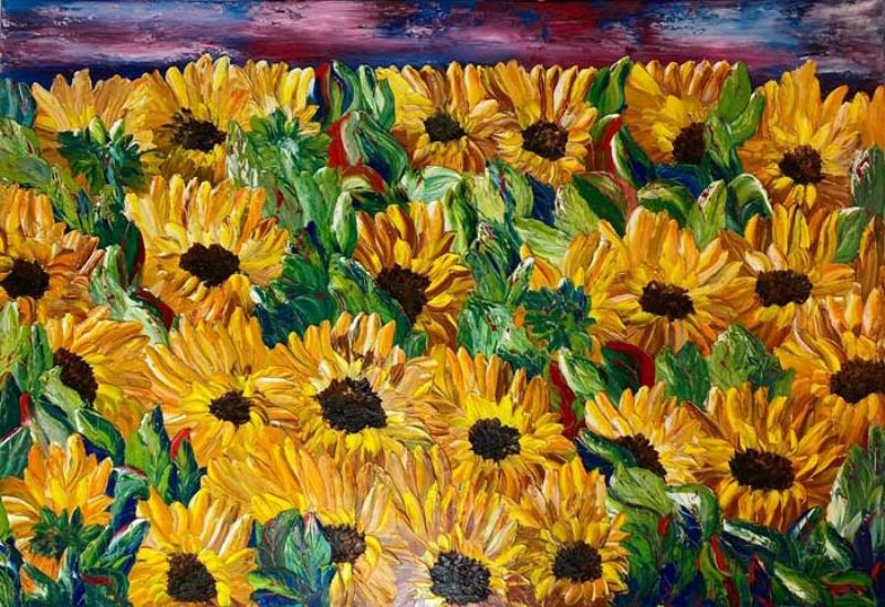 Girasoli di notte