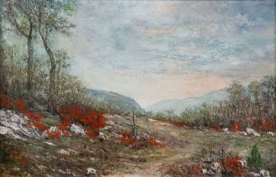 Paesaggio carsico