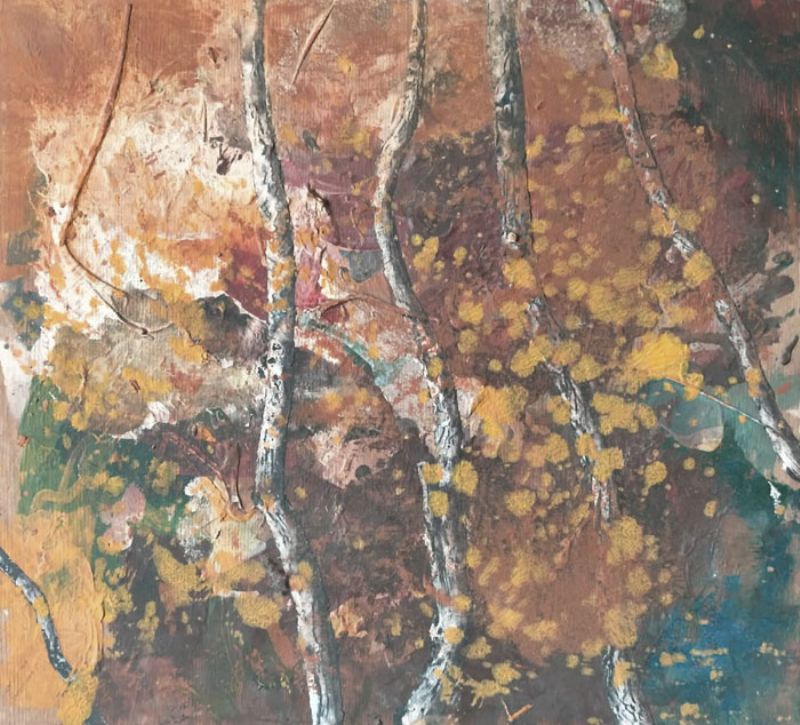 Studio di betulle
