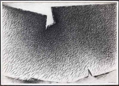 La natura e le forme