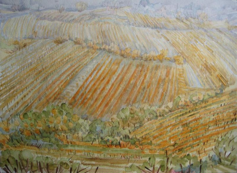 I vigneti si preparano
