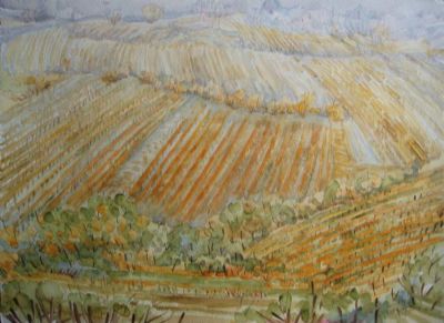 I vigneti si preparano