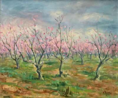 Frutteto a Primavera   