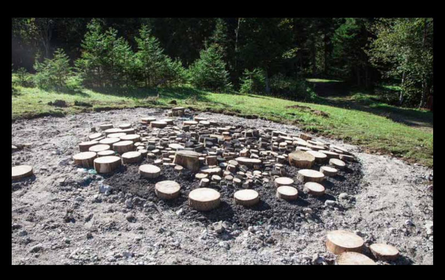 Siamo nascosti nel bosco