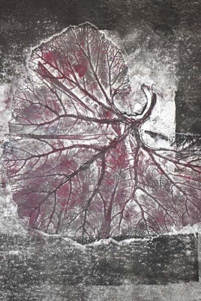 Tanatocenosi - farfaraccio - monotipo