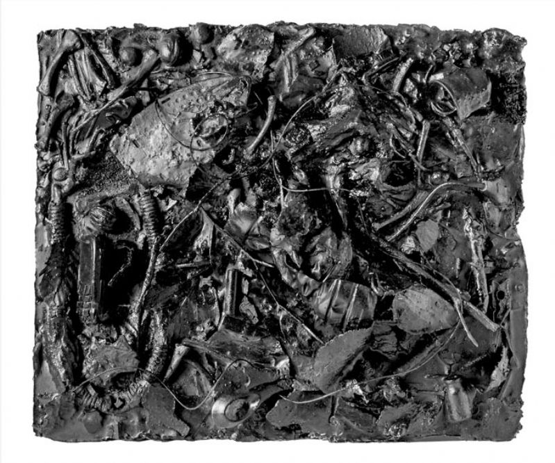 Tanatocenosi n° 1