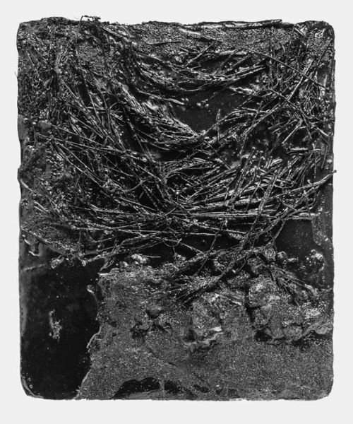 Tanatocenosi n° 2