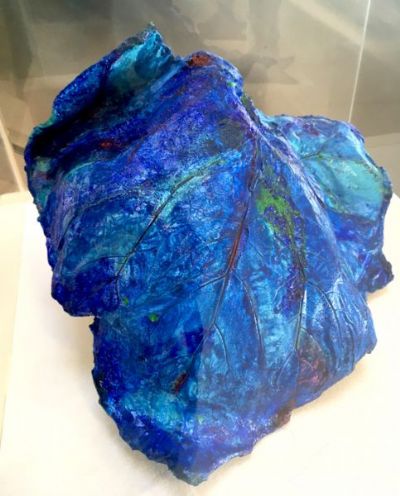 Foglia di pianta pioniera, farfaraccio