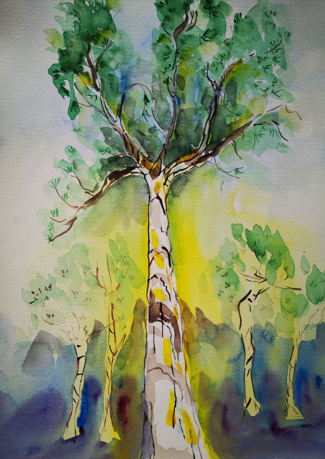 Albero