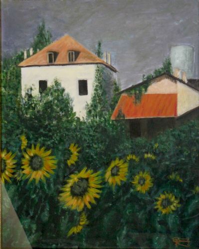 Girasoli del casolare