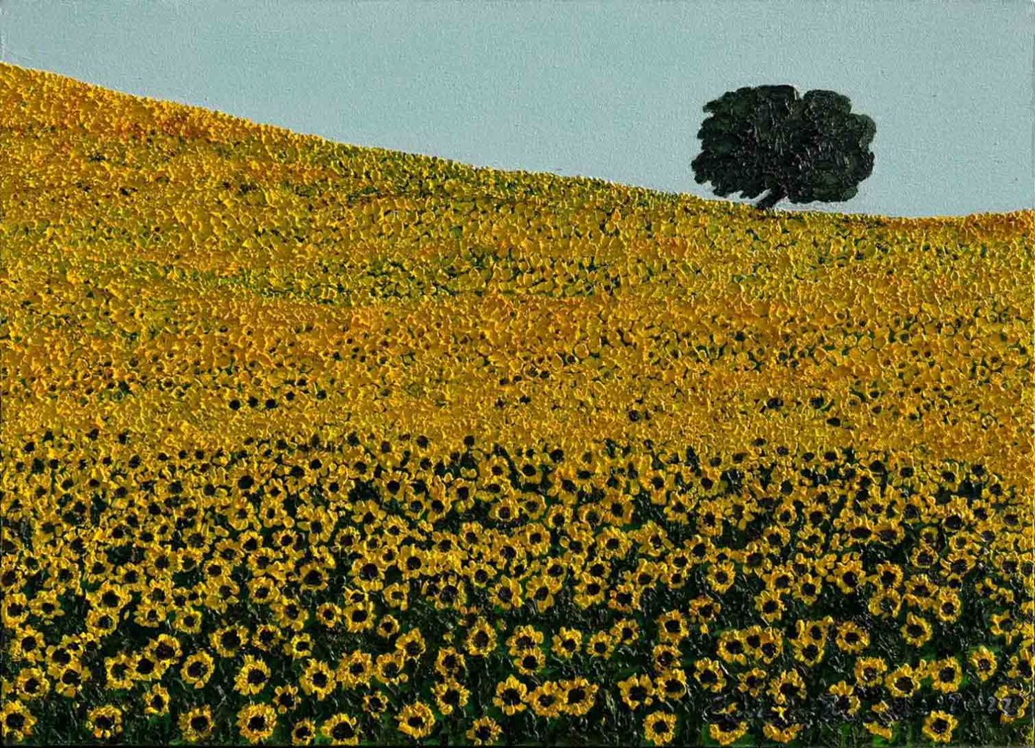 Campo di girasoli