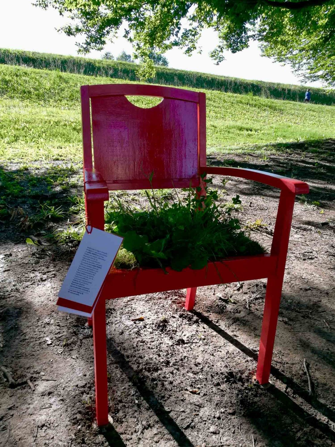 Lawn chair - sedia prato