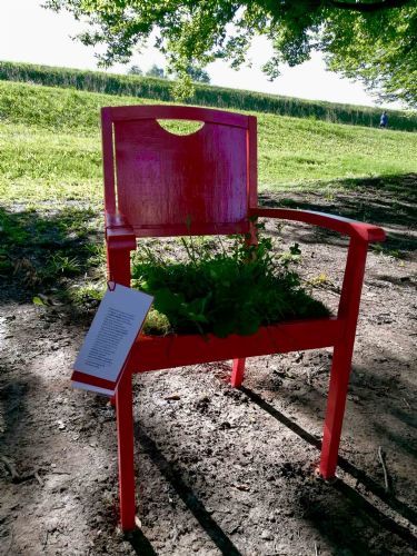 Lawn chair - sedia prato