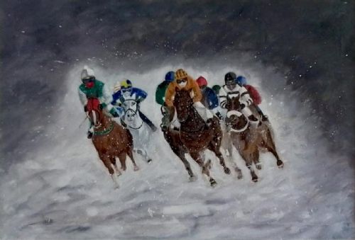 Gara sulla neve