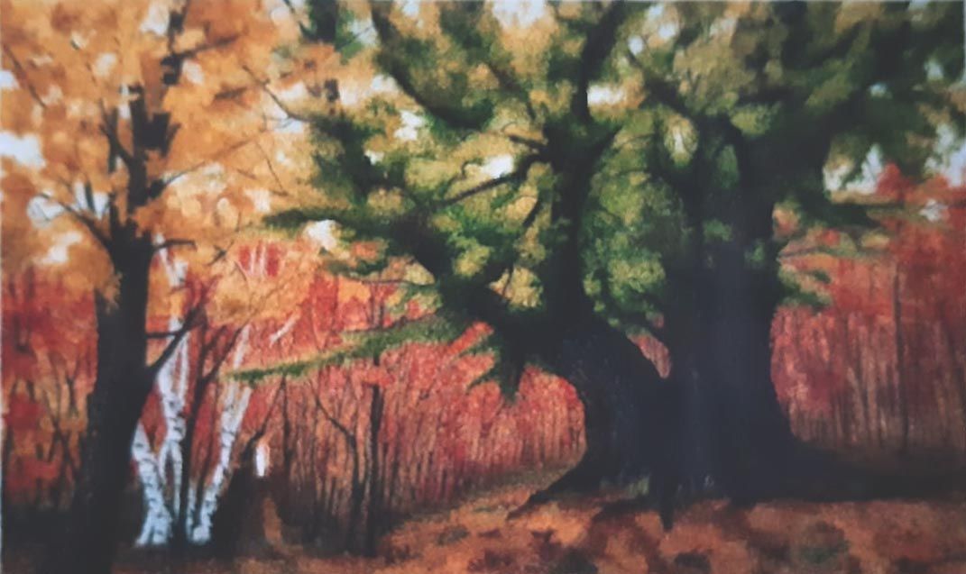 L'albero delle ghiande