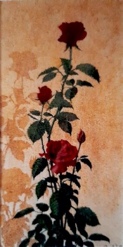 Rosa rossa - per te