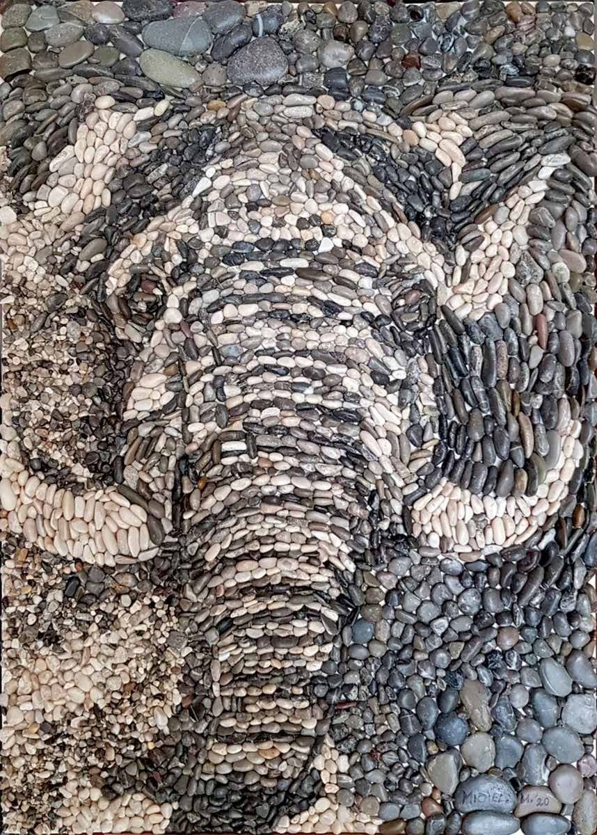 Elefante in penombra