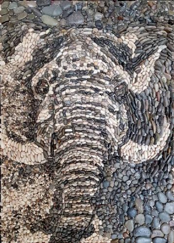 Elefante in penombra