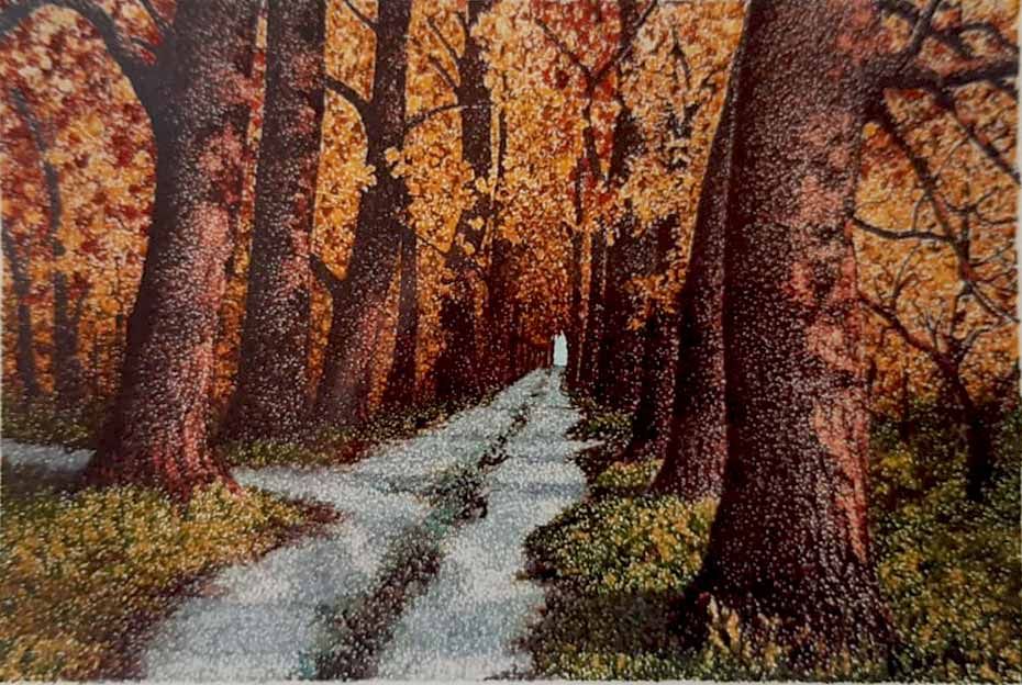 Viale degli alberi maestri