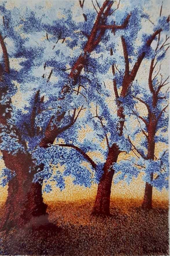 Jacaranda