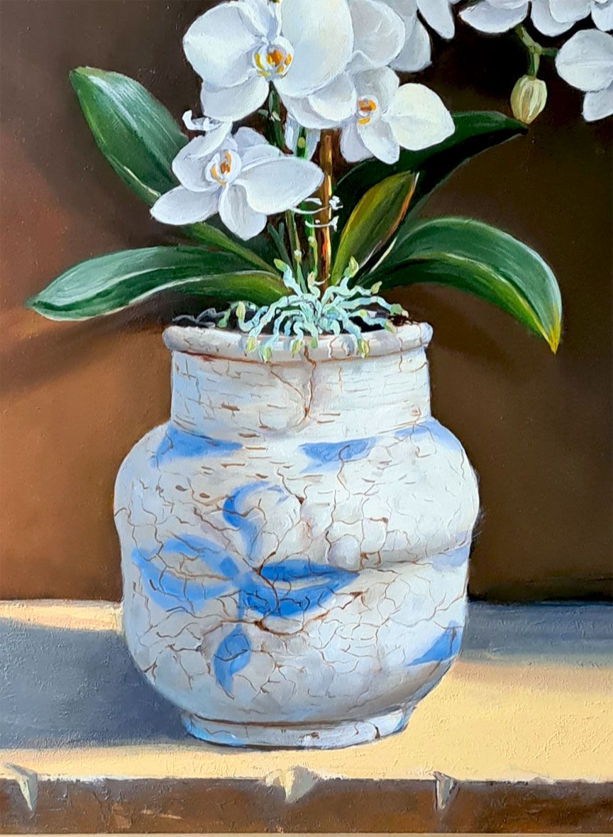 Orchidea bianca