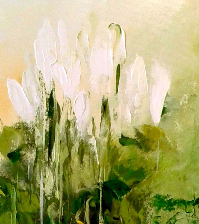 Tulipani bianchi