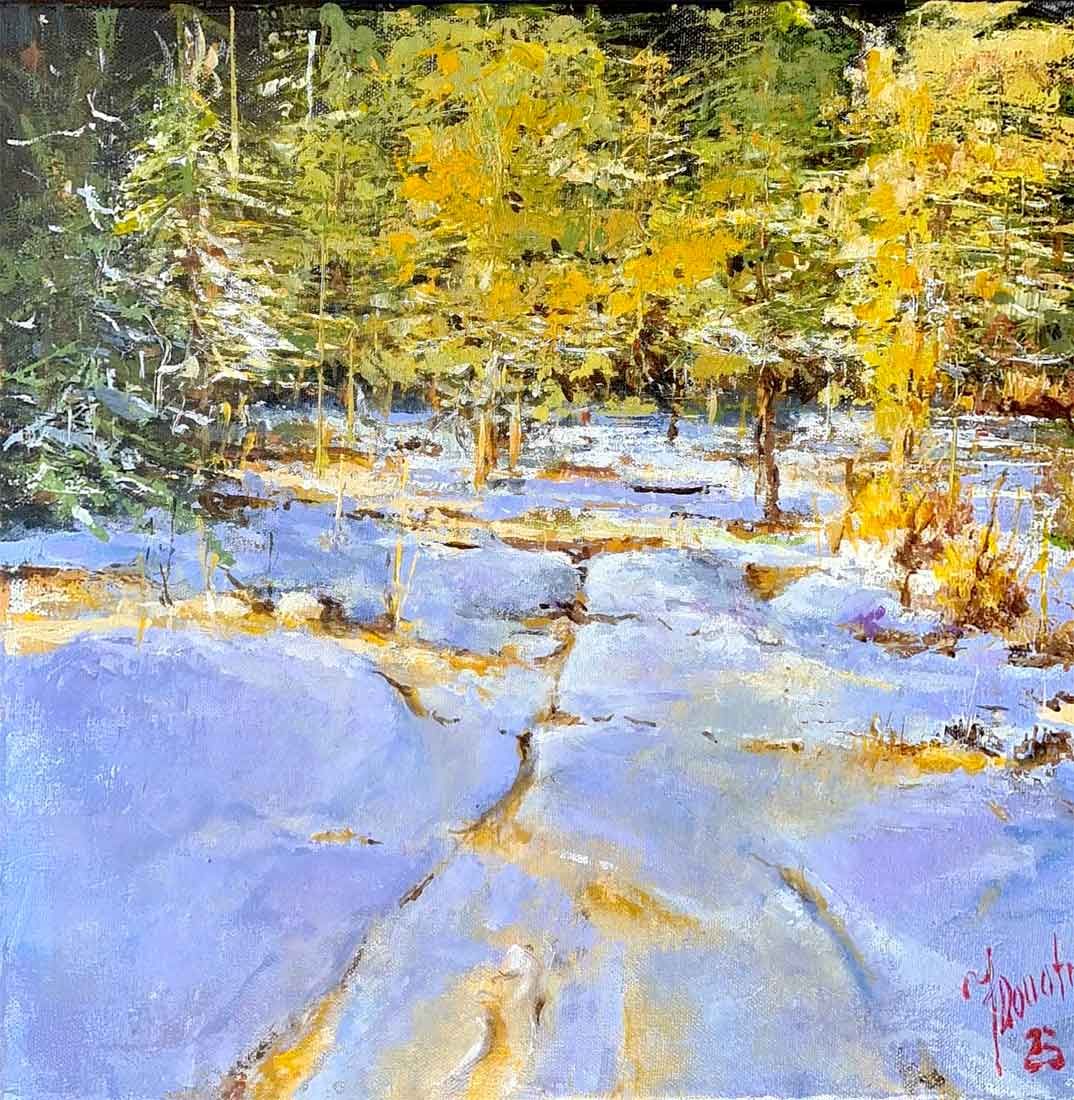 Il sole sulla neve