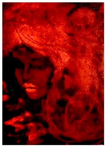 Olocausto per non dimenticare 