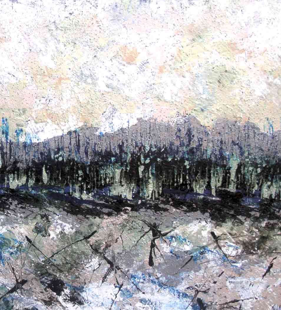 Riflessi tra gli alberi