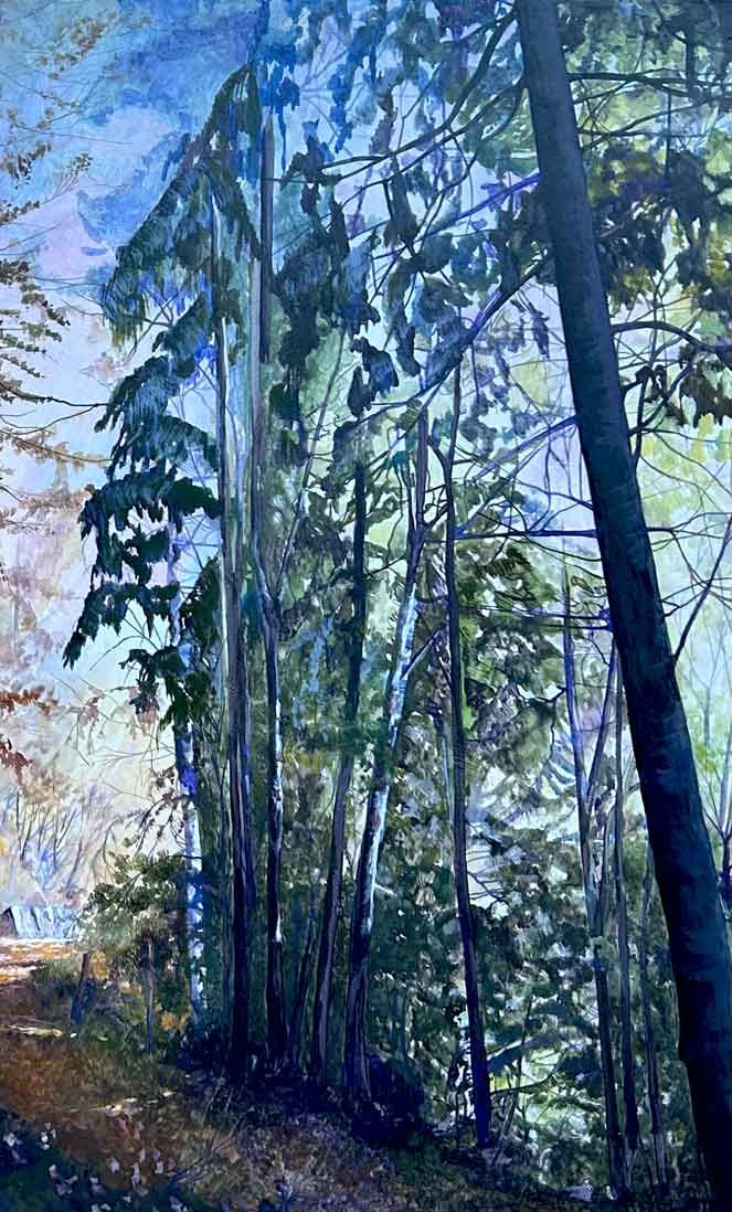 Cristallina nebbiosità