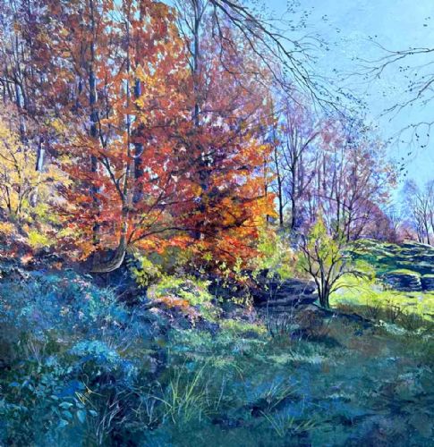 Canzone festante dei miei sogni