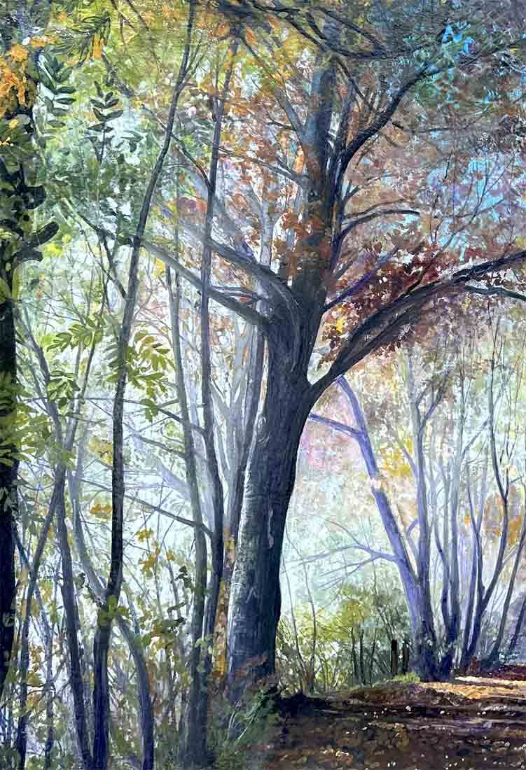 Odorosa mia nebbia