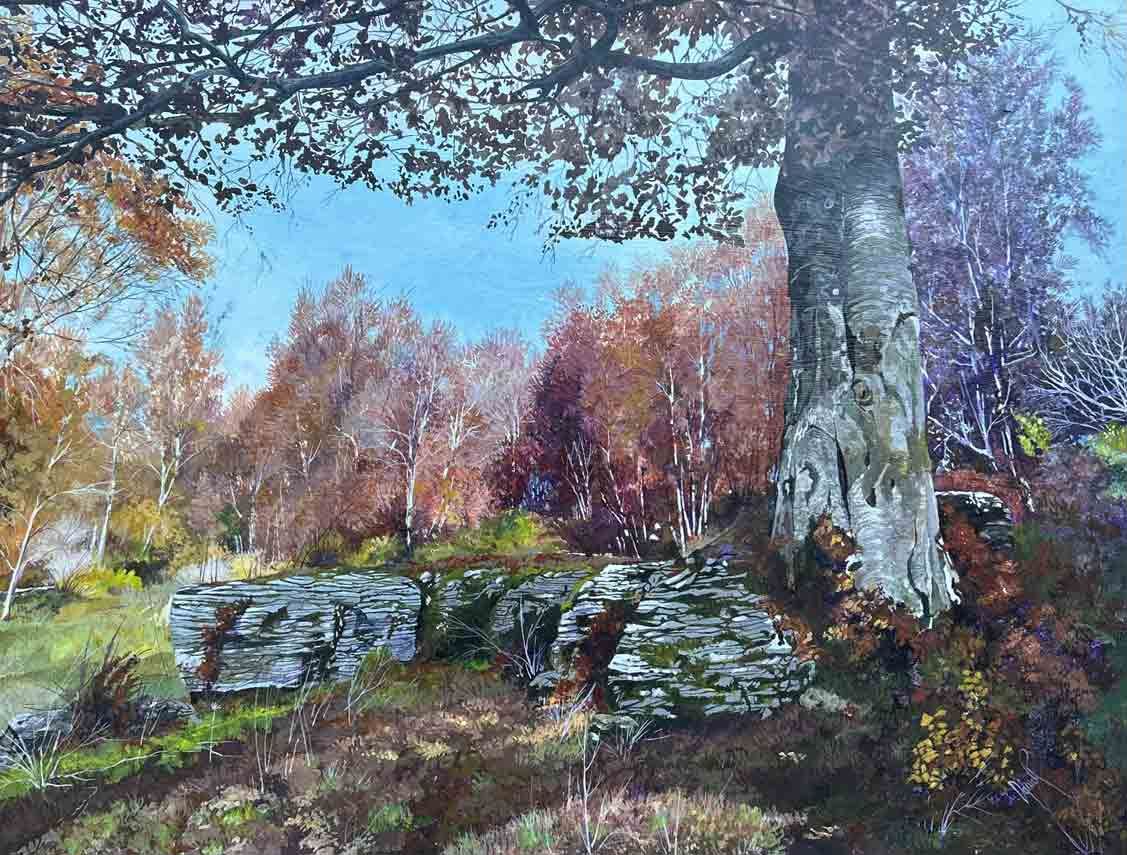Il faggio, le rocce, l'anima