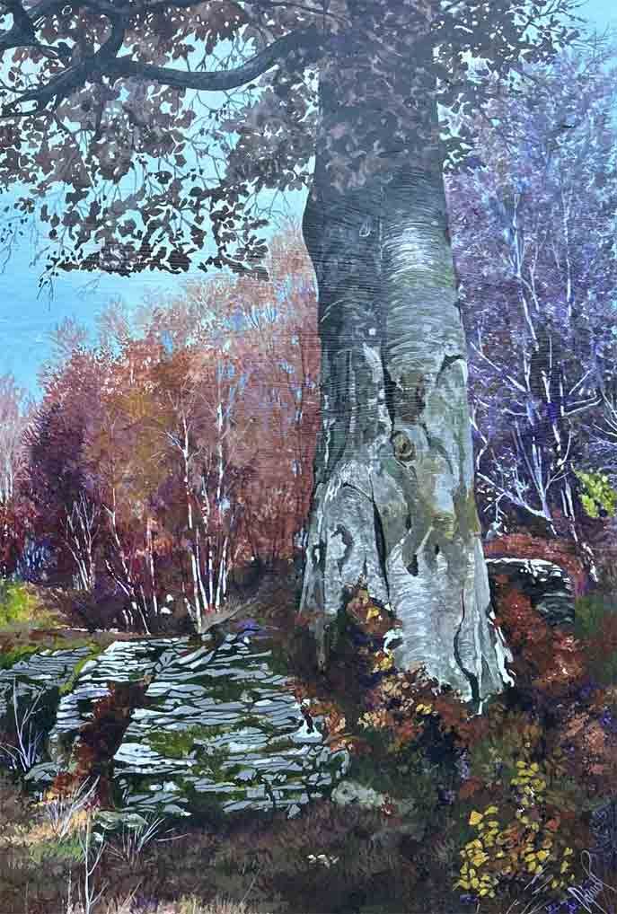 Il faggio, le rocce, l'anima