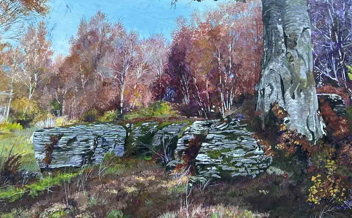 Il faggio, le rocce, l'anima