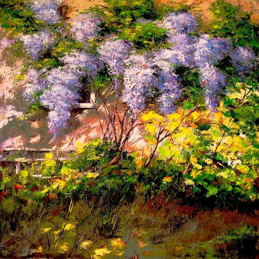 La pianta di Lillà