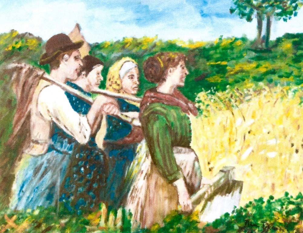 Ai campi