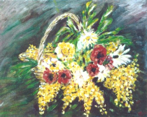 Papaveri e mimose