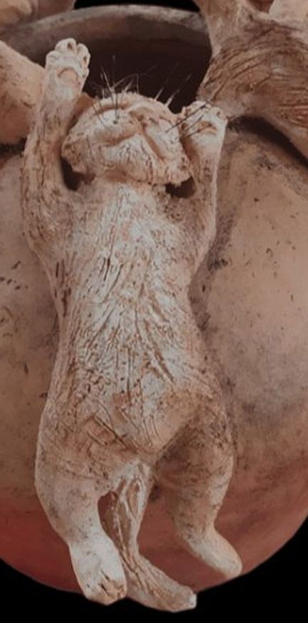 Impulso felino