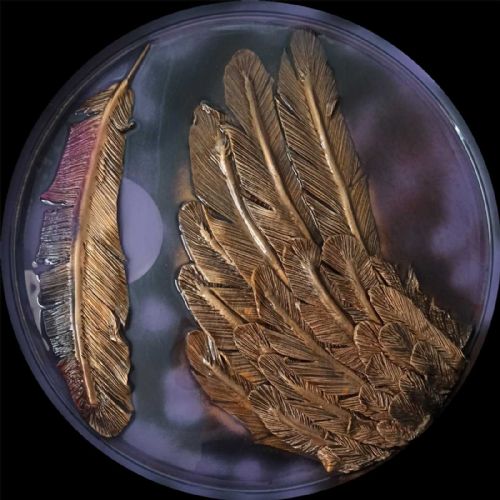 Iris, la Dea dell'arcobaleno messagera degl