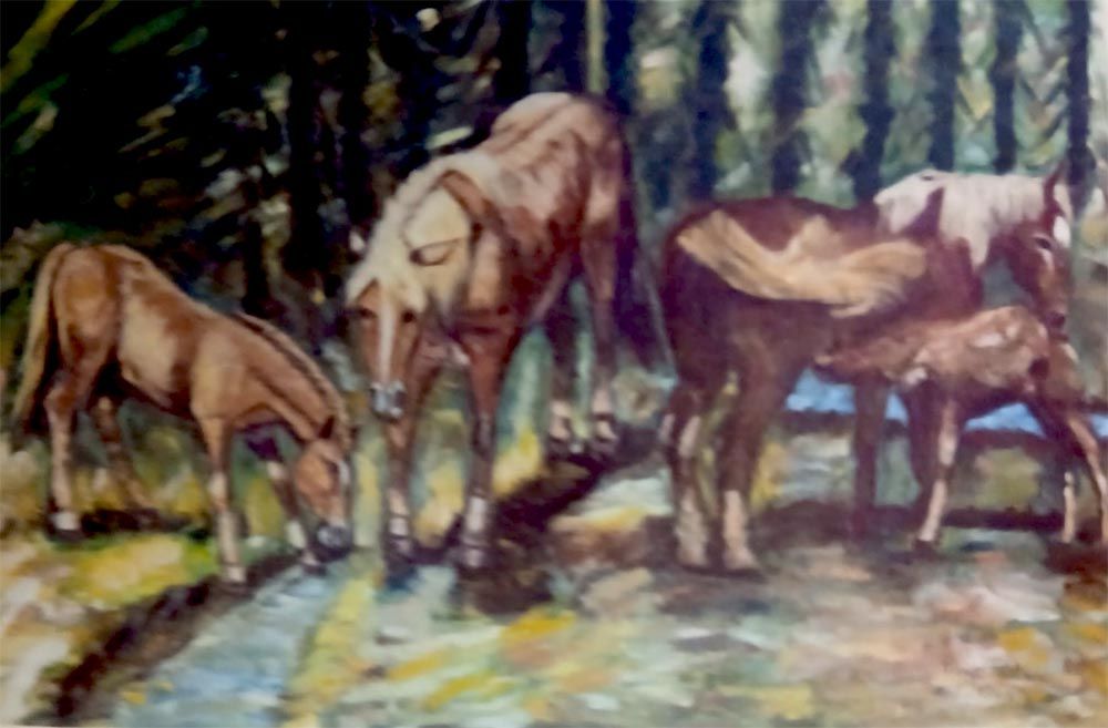 Cavalli al pascolo