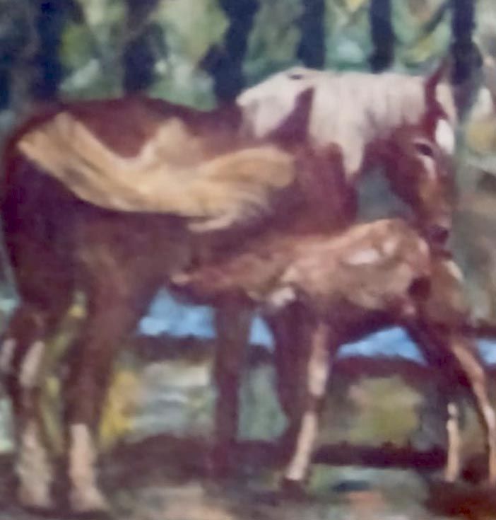 Cavalli al pascolo