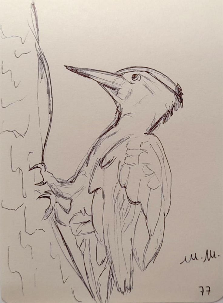 Animali archetipi. Taccuino.