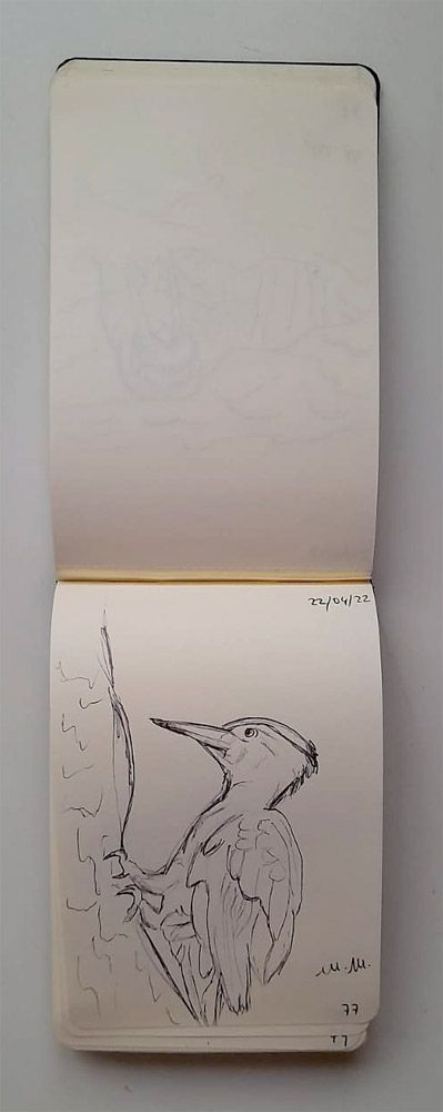 Animali archetipi. Taccuino.