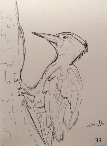 Animali archetipi. Taccuino.